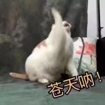 试管姐妹们最关心的几个问题,做试管的姐妹们一路走来太不容易