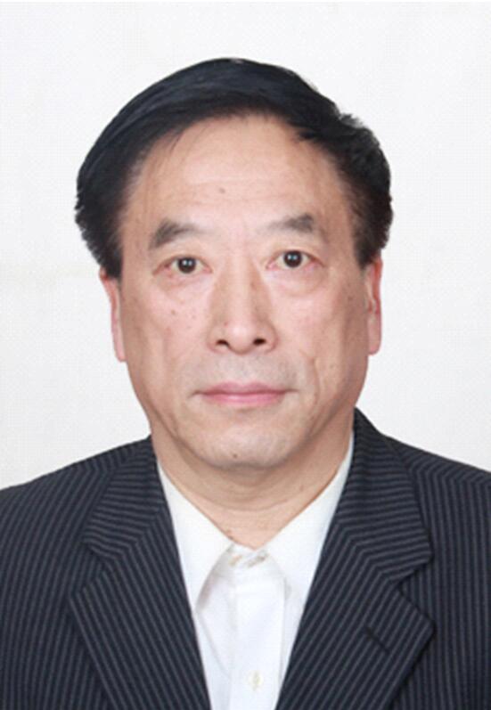 南阳市第二届十大名中医简介,南阳市十大中医名家