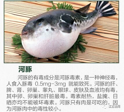 40多斤鱼被找到了,29斤未处理河豚不翼而飞