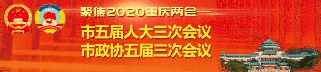 【*会两**·声音】陈兴芜委员：加快在人行天桥上加装电梯