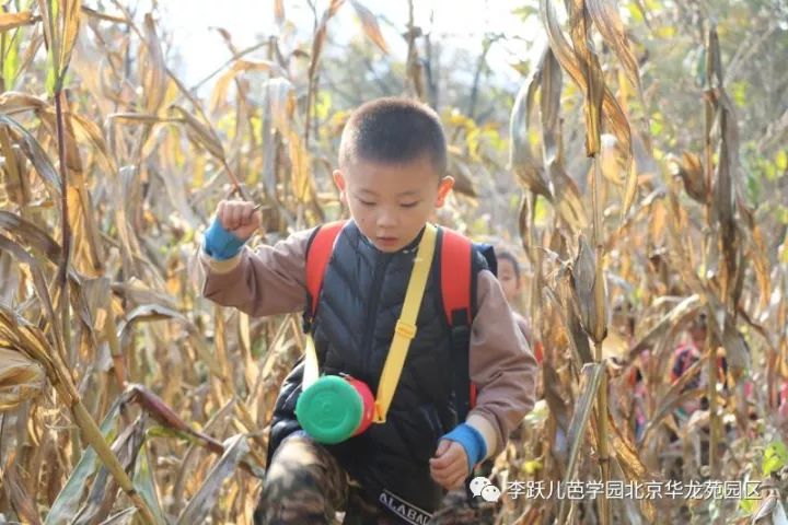 李跃儿芭学园地址,李跃儿芭学园在哪里