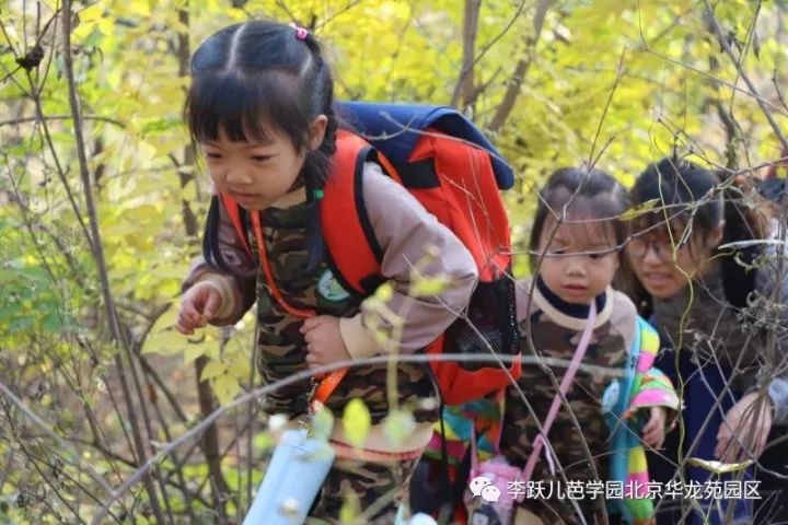 李跃儿芭学园地址,李跃儿芭学园在哪里