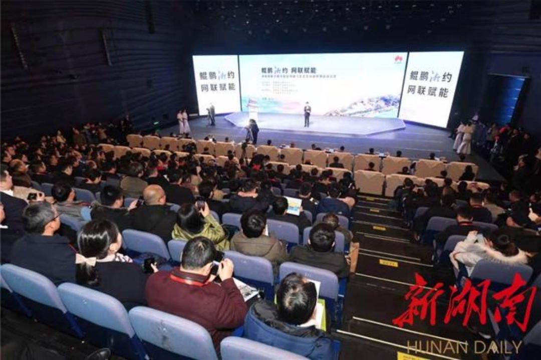 2024春运高速公路拥堵情况,今天春运高速最新路况