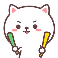 冬天也能赏到鲜花的芬芳,园博苑花海季节