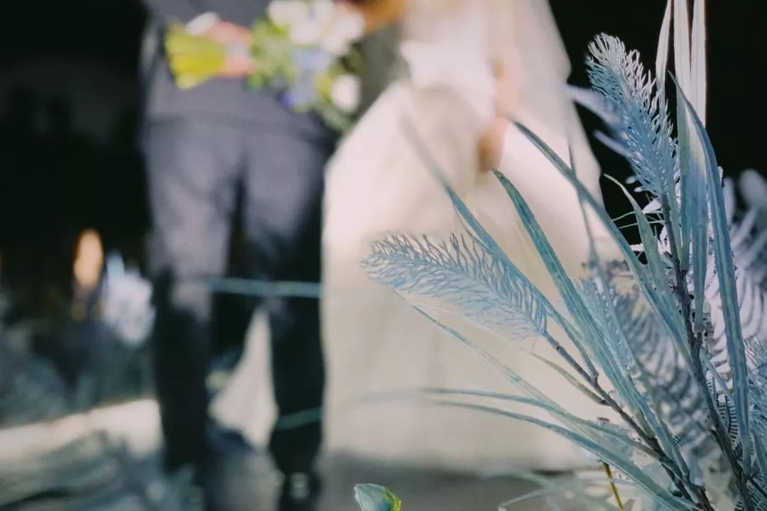 真心话大冒险文青版,真心话大冒险年会