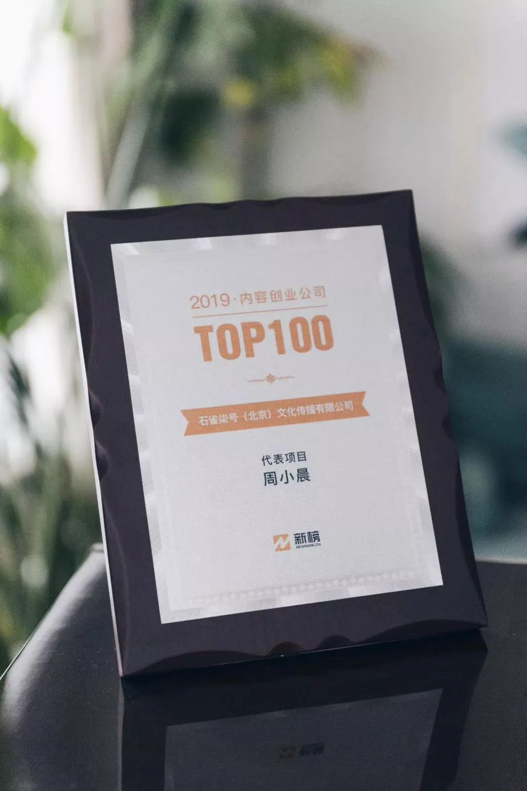 真心话大冒险文青版,真心话大冒险年会