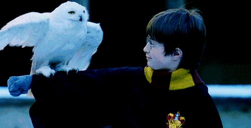 普通人去环球影城,环球影城精灵之旅