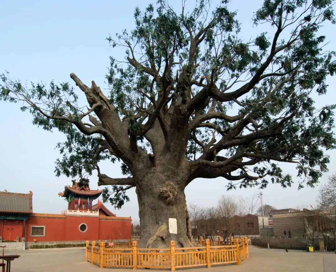 为啥五千年历史看山西,5000年历史看临汾