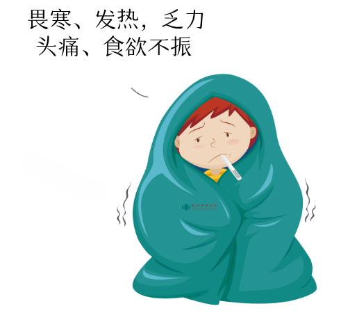 预防细菌性痢疾主要措施是,预防细菌性痢疾小常识动画