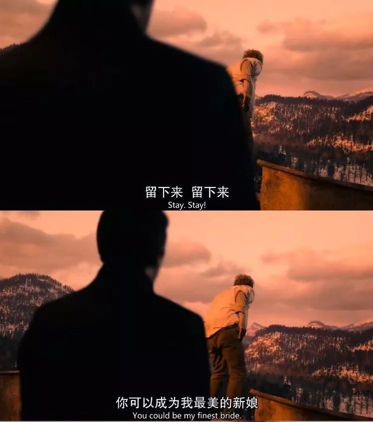 吸血鬼不是从2020年开始变gay的