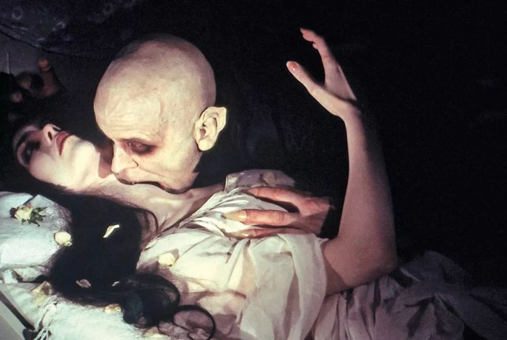 吸血鬼不是从2020年开始变gay的