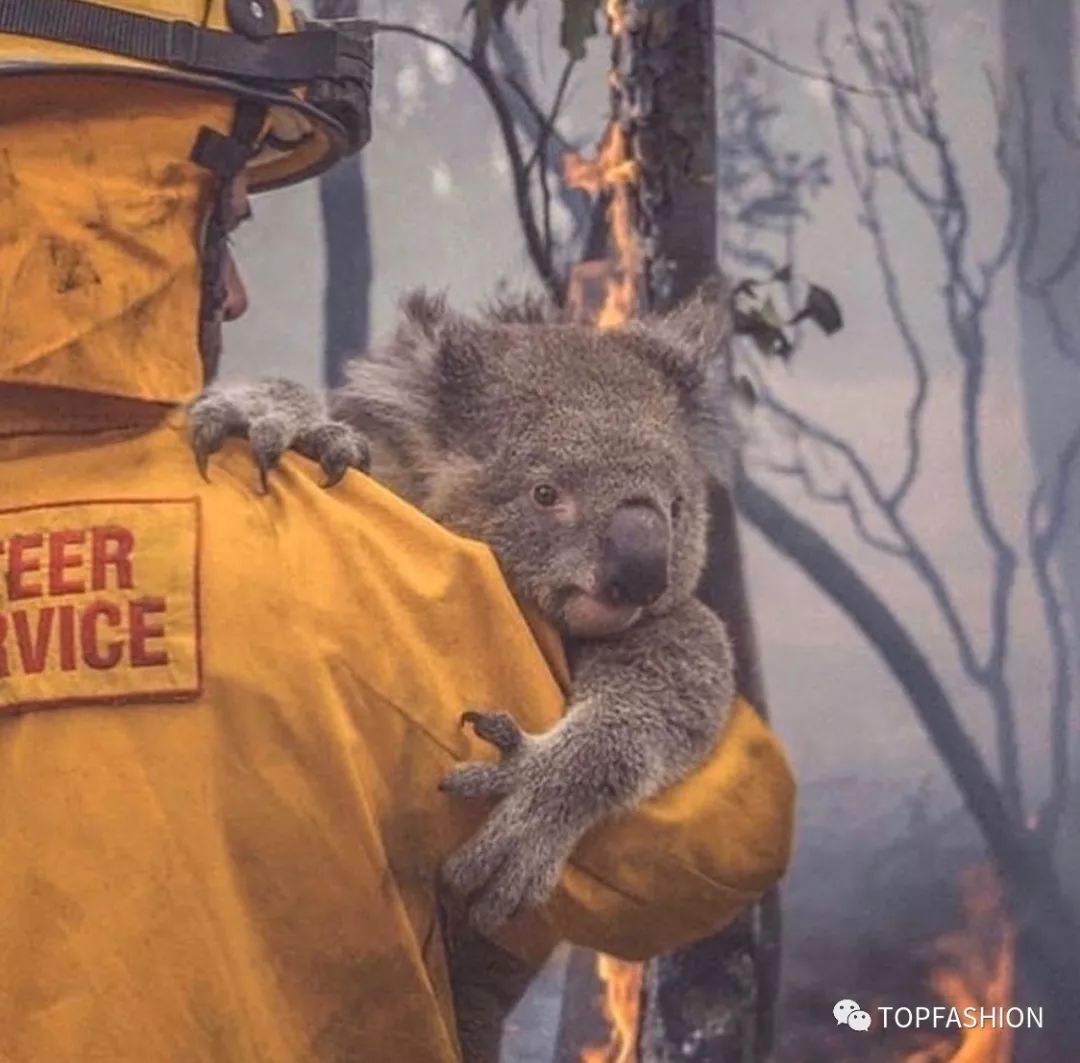 guccibalenciaga联名溢价,赔偿奢侈品包包