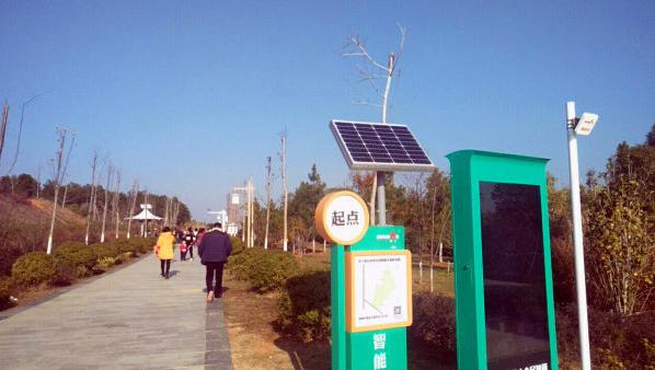 公益体彩是助力扶贫的吗,体彩为健身事业装上智慧翅膀