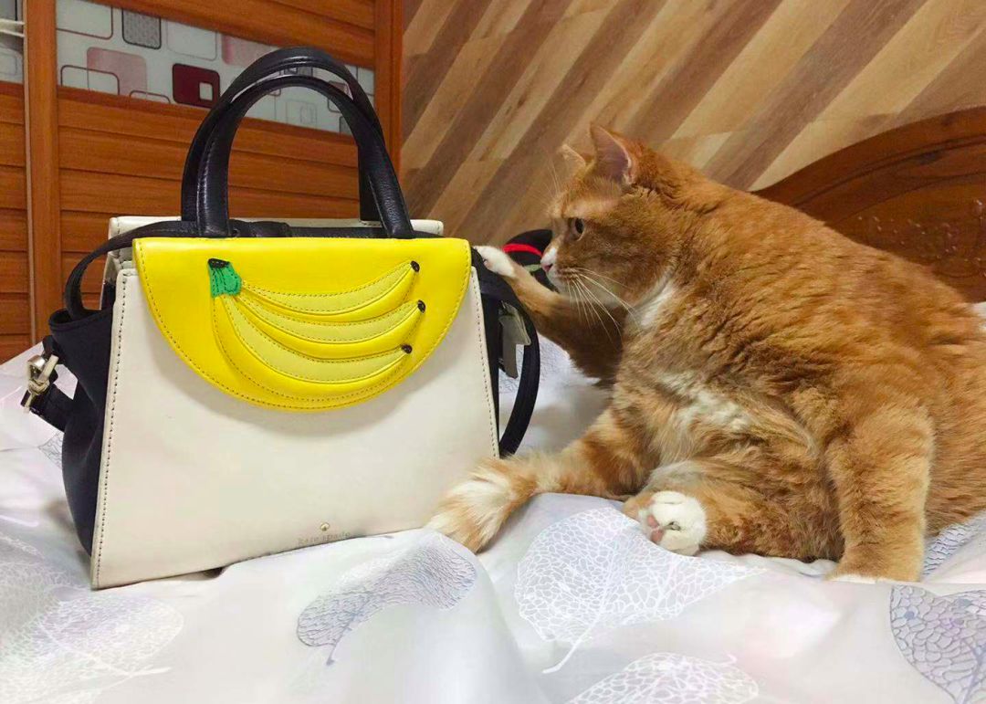 性价比高且百搭的包,小众贵气平价包