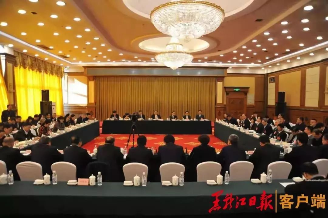 黑龙江省七大产业集团,黑龙江7大产业集团