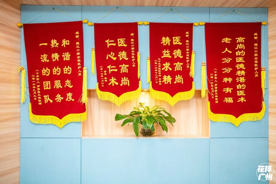 种牙免费送,种牙优惠活动免费检查是真的吗