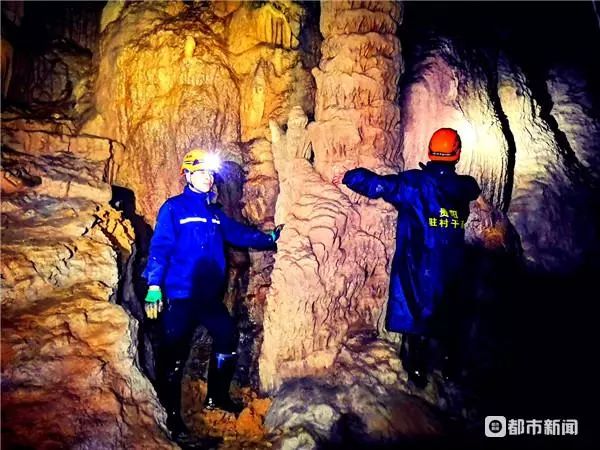 猪拱嘴鱼、长角蟋蟀、金色蜈蚣……贵州一溶洞发现多种不明生物