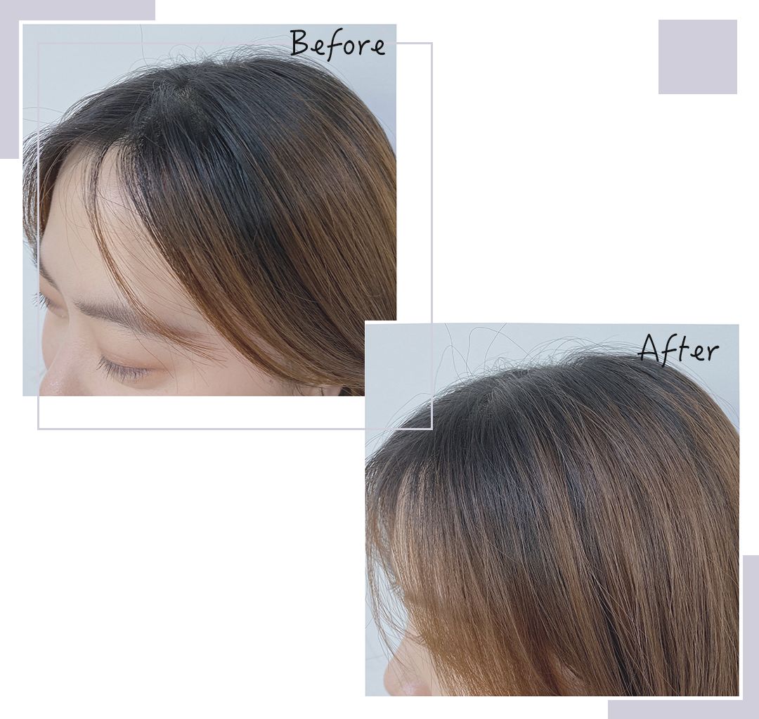 春节回家自救指南,春节回家自救指南完整