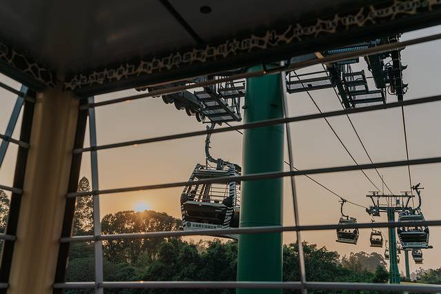 来长隆隆重过大年暖冬游长隆,暖冬游长隆福路通