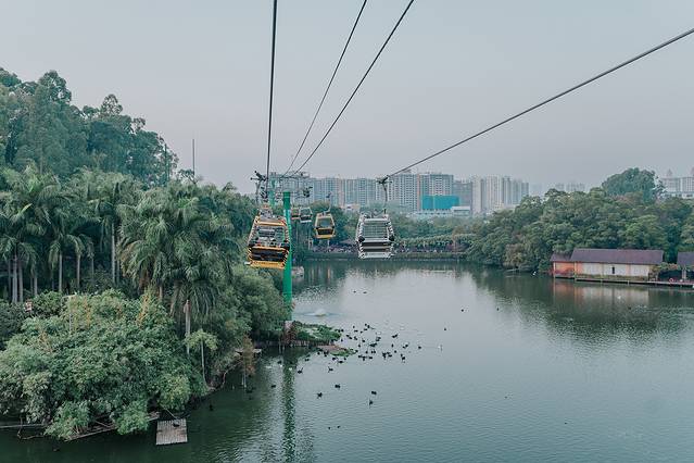 来长隆隆重过大年暖冬游长隆,暖冬游长隆福路通