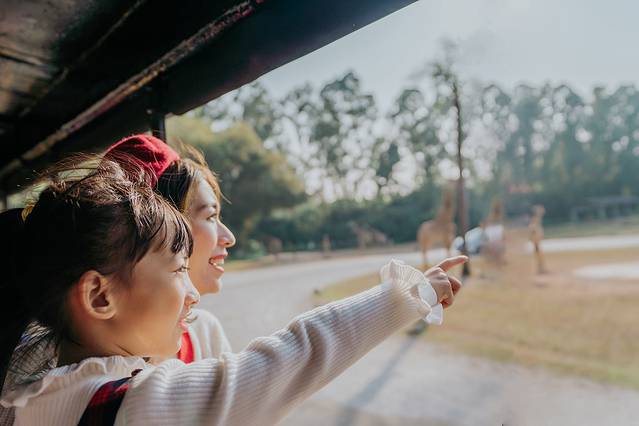 来长隆隆重过大年暖冬游长隆,暖冬游长隆福路通