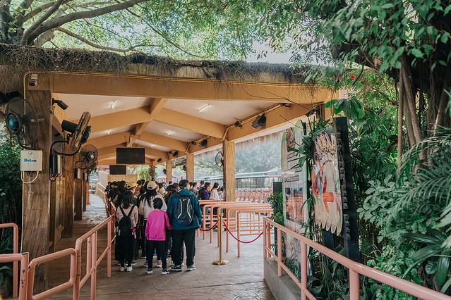 来长隆隆重过大年暖冬游长隆,暖冬游长隆福路通