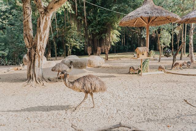 来长隆隆重过大年暖冬游长隆,暖冬游长隆福路通