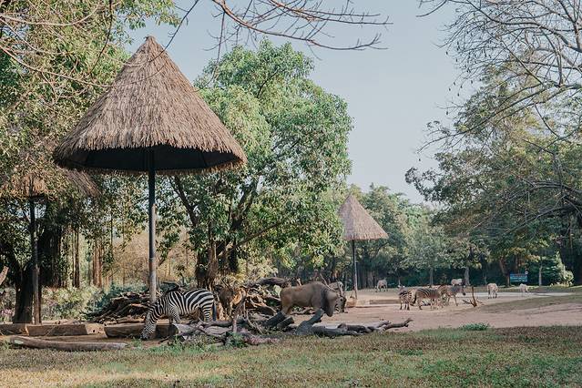 来长隆隆重过大年暖冬游长隆,暖冬游长隆福路通