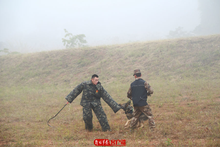 要懂饲养,还要会训练,无言尖兵的训导员来培训
