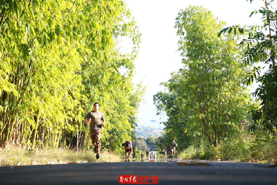 要懂饲养,还要会训练,无言尖兵的训导员来培训