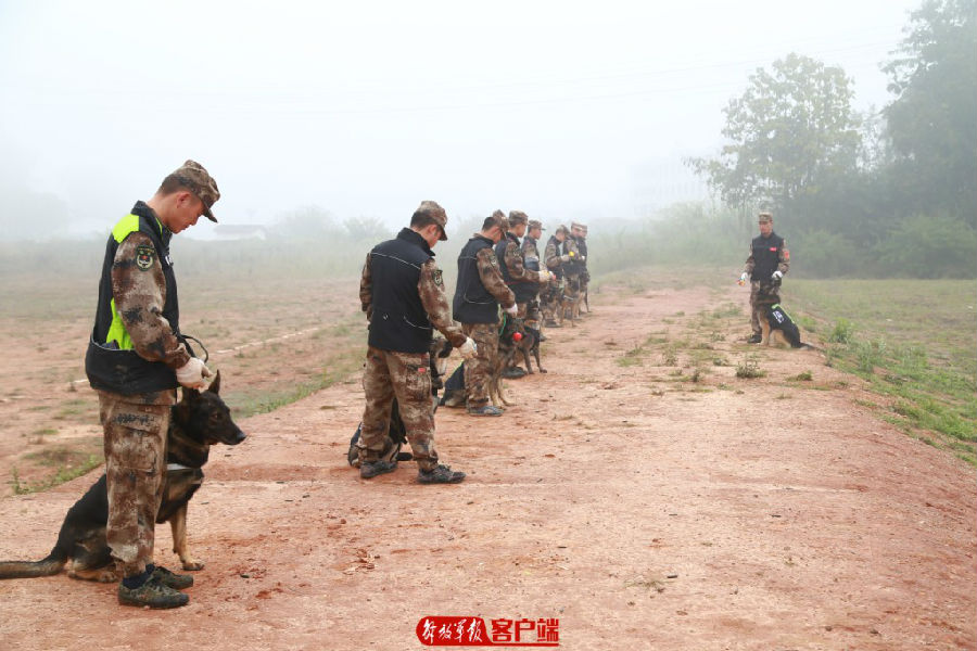 要懂饲养,还要会训练,无言尖兵的训导员来培训