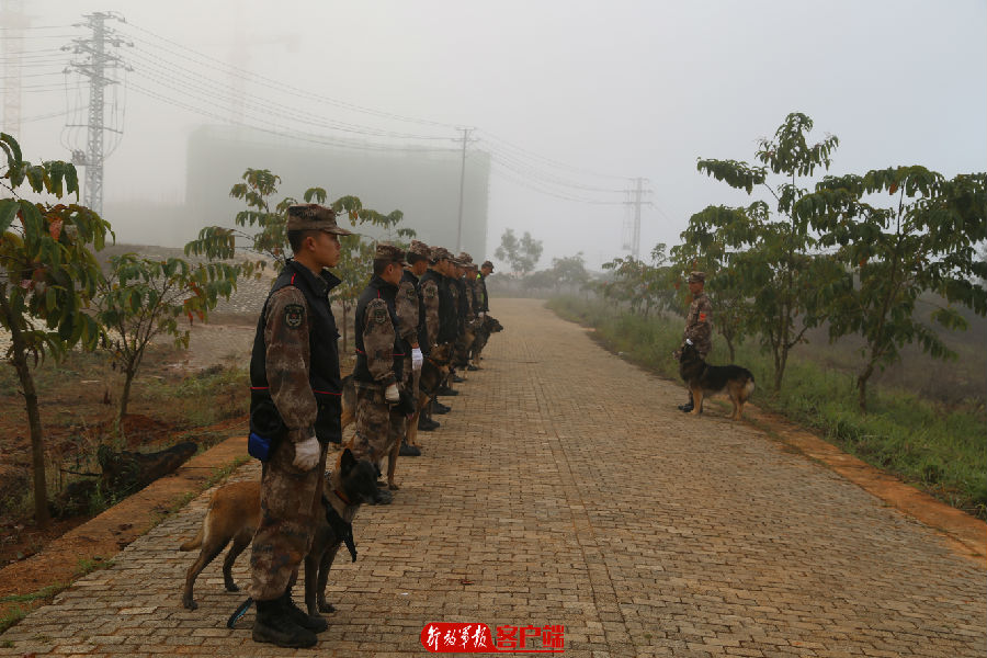 要懂饲养,还要会训练,无言尖兵的训导员来培训