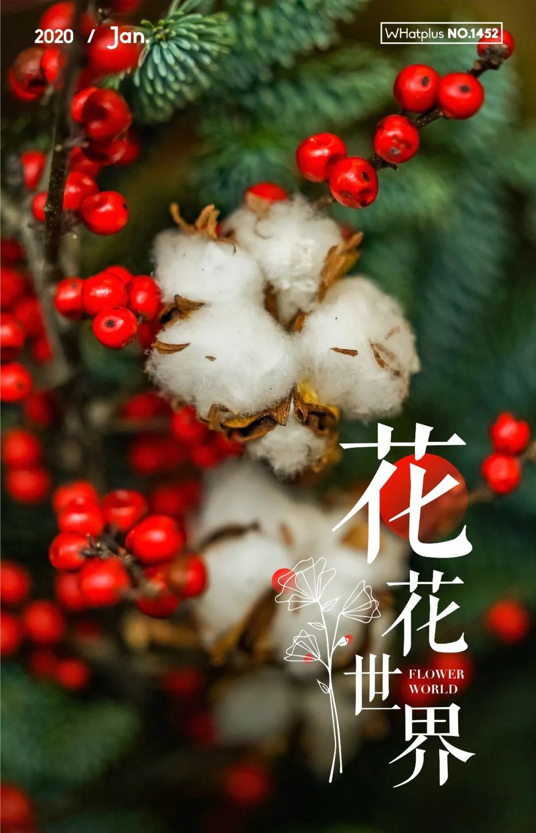 武汉最大鲜花市场,武汉最实惠的鲜花交易市场