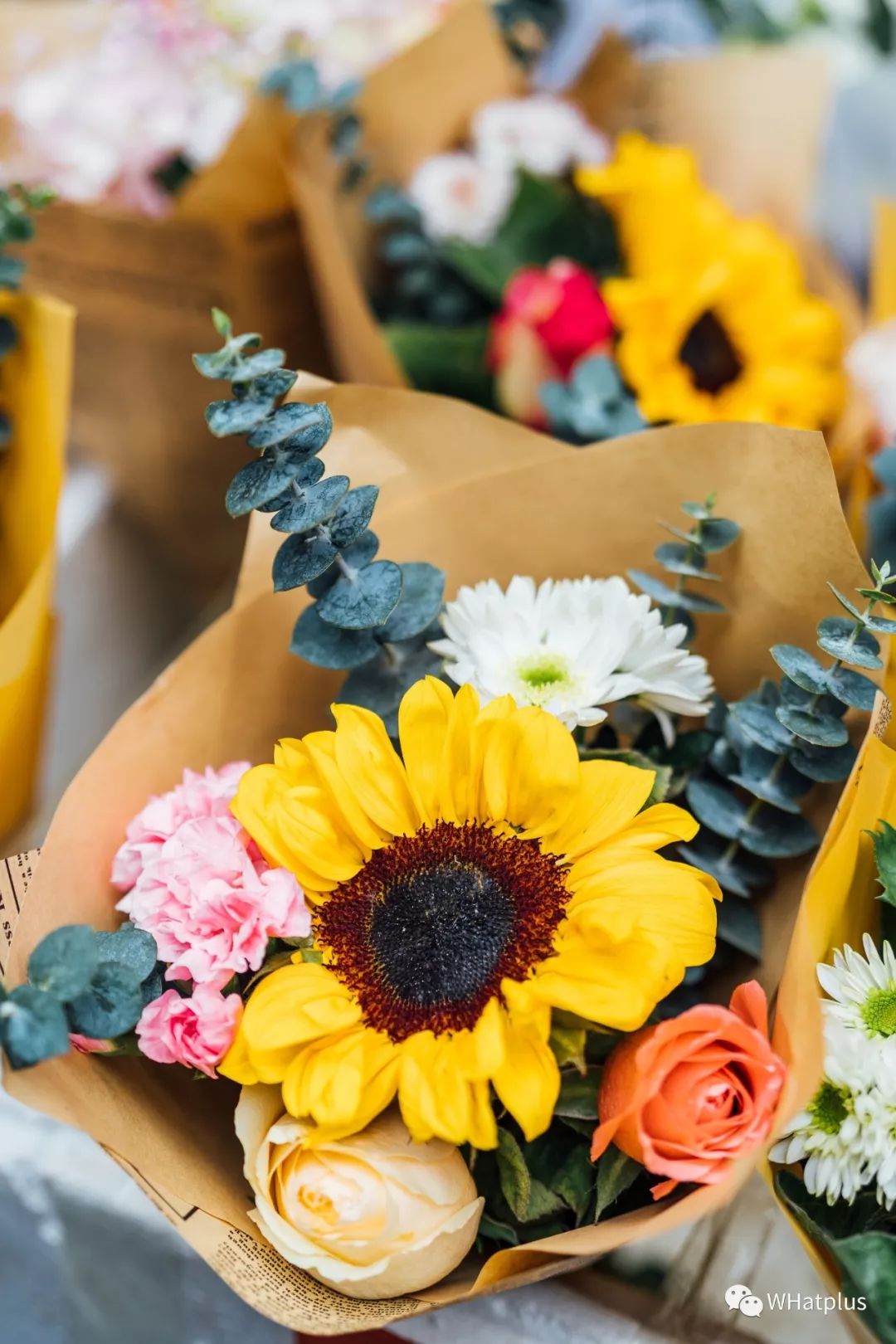 武汉最大鲜花市场,武汉最实惠的鲜花交易市场