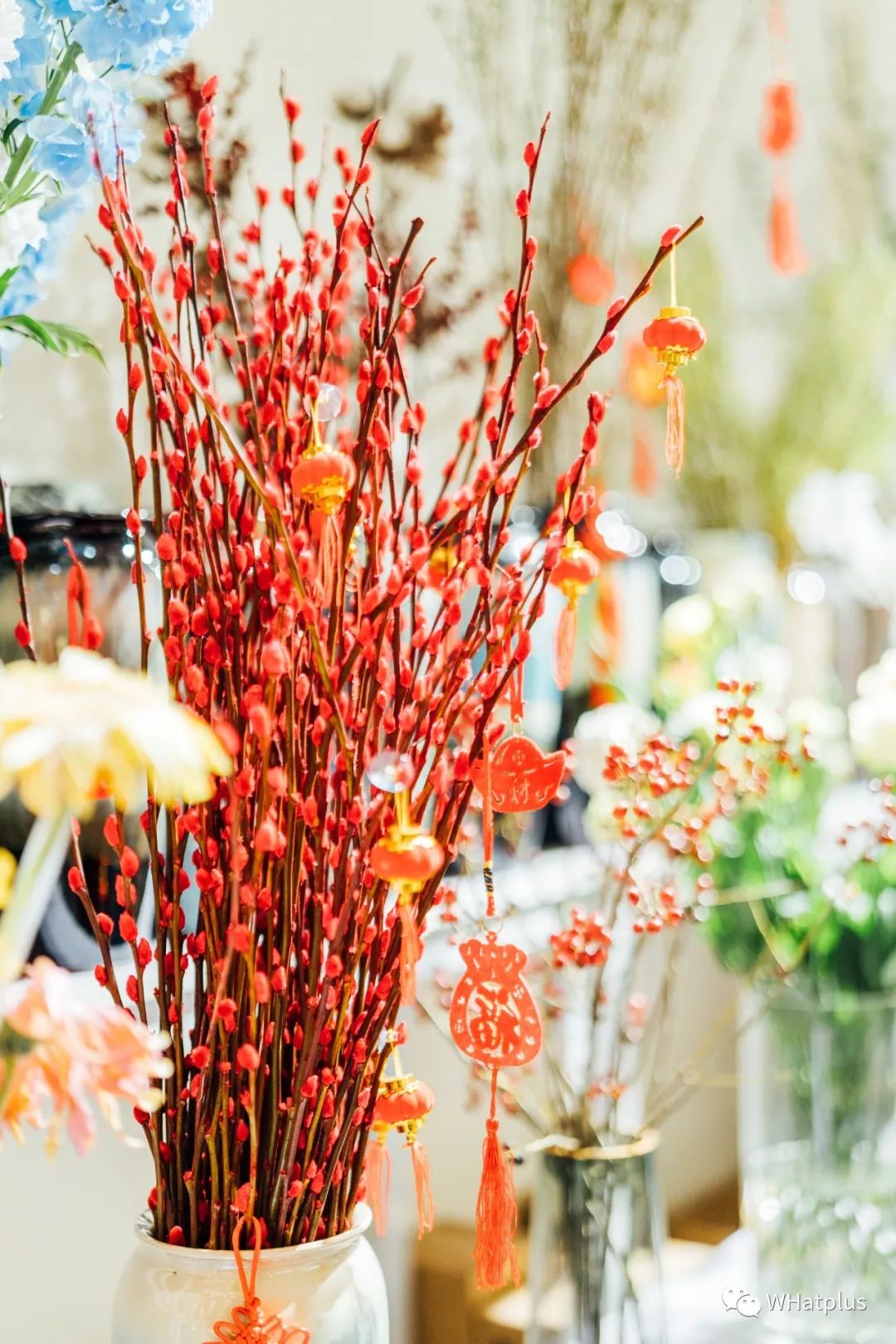 武汉最大鲜花市场,武汉最实惠的鲜花交易市场