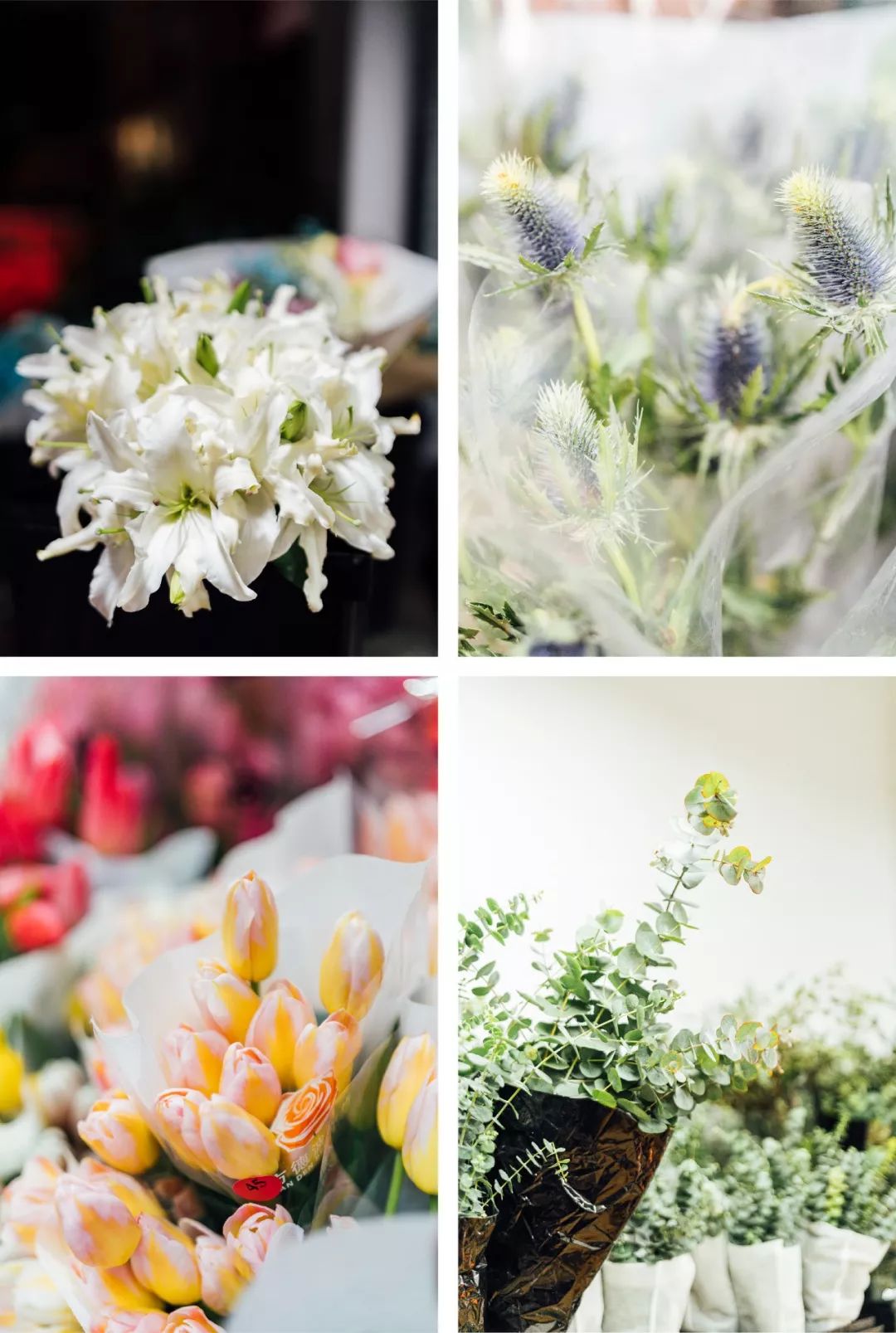 武汉最大鲜花市场,武汉最实惠的鲜花交易市场