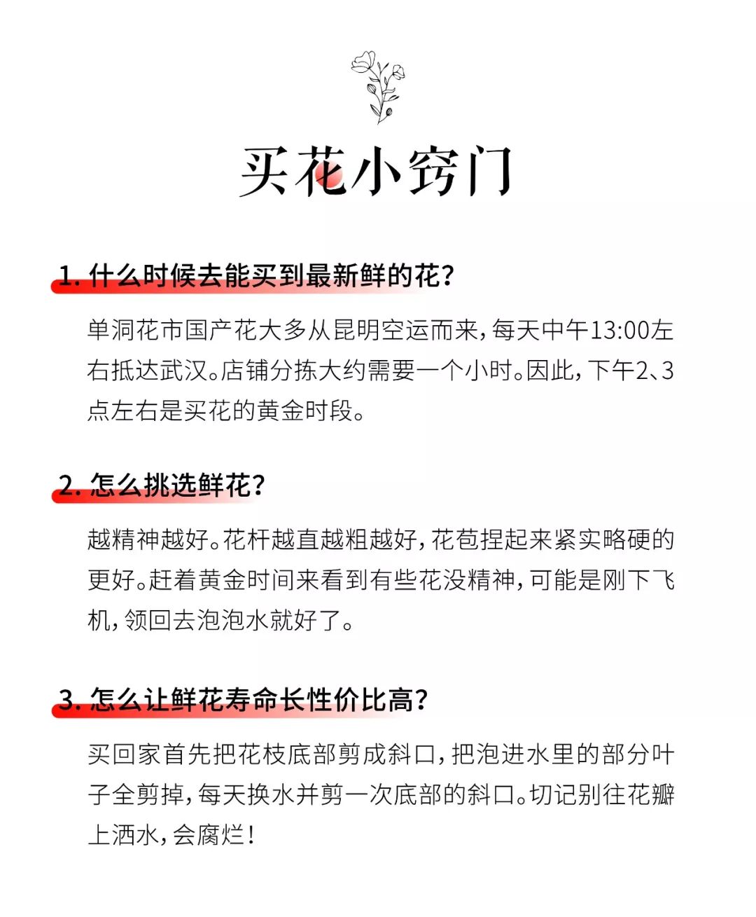武汉最大鲜花市场,武汉最实惠的鲜花交易市场
