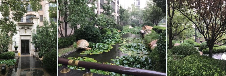 田园景观设计图解,静安区庭院园林景观设计规范