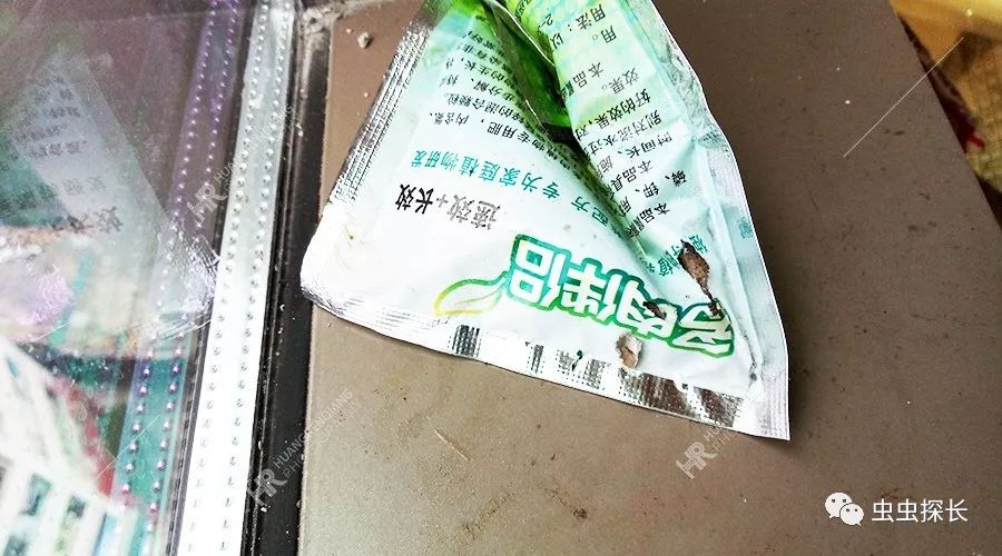 商铺有老鼠怎么灭鼠,餐厅老鼠频发灭鼠公司出动小妙招