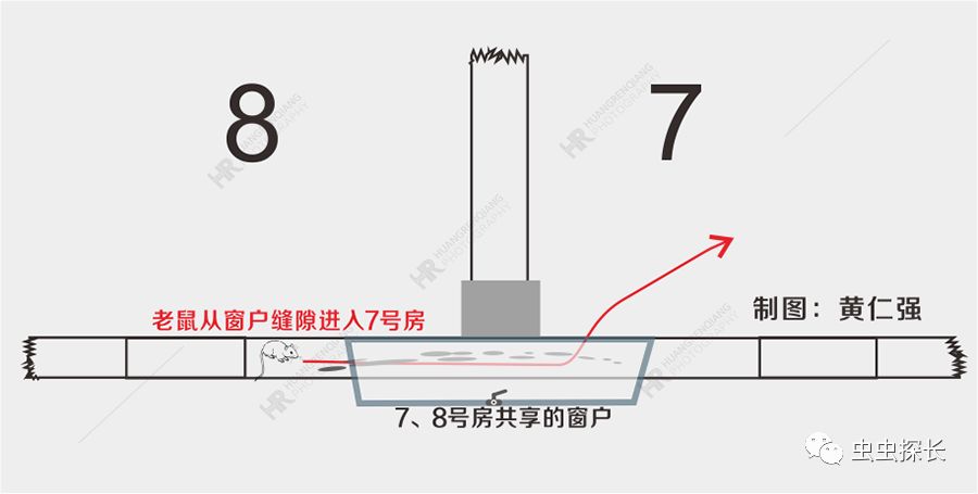 商铺有老鼠怎么灭鼠,餐厅老鼠频发灭鼠公司出动小妙招