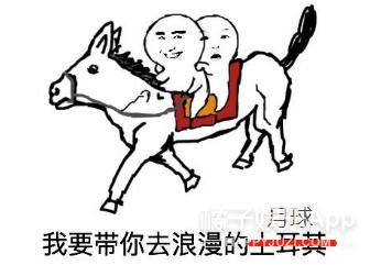 日本亿万富翁登上月球,日本亿万富翁线上寻爱共赴月球