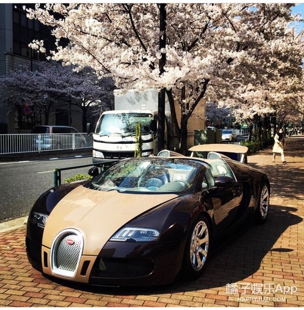 日本亿万富翁登上月球,日本亿万富翁线上寻爱共赴月球