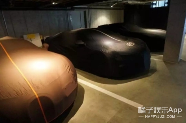 日本亿万富翁登上月球,日本亿万富翁线上寻爱共赴月球