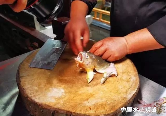 近几年大黄鱼价格,大黄鱼价格为何那么贵