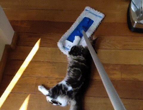 十件过年大扫除必备的清洁神器,过年大扫除家家必备的清洁小技巧