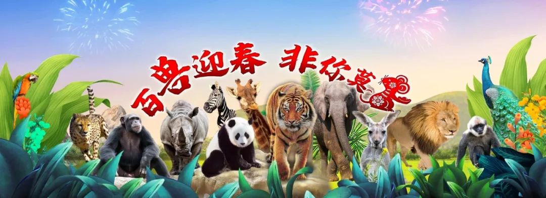 上海旅游年票哪里买最便宜,上海景点年票购买攻略