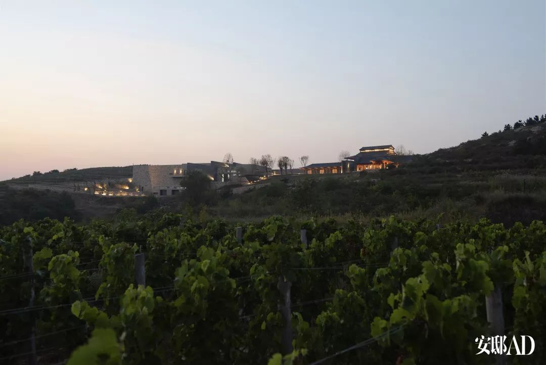 拉菲中国酒庄视频,法国波尔多拉菲酒庄在哪里