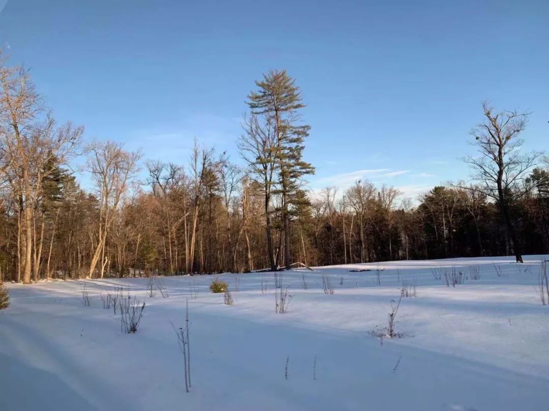 收获再多“第一次”的旅途，不及与人分享的一桌饭菜