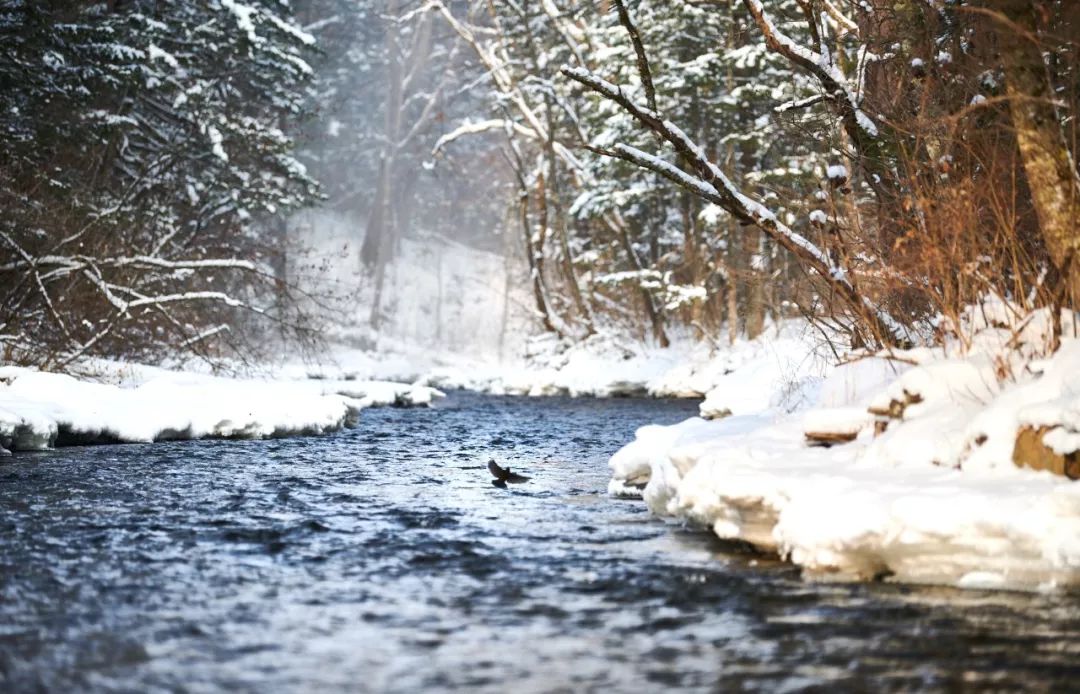 收获再多“第一次”的旅途，不及与人分享的一桌饭菜