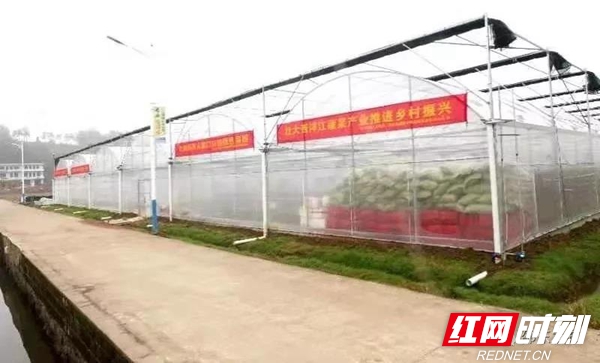 从田间到餐桌的餐厅,湖南十大蔬菜基地